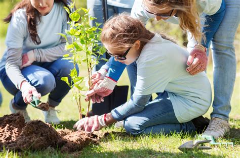 group of volunteers planting tree in park – Dakota Electric Association®