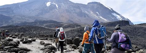 Mount Kilimanjaro Climbing | Viola Tours