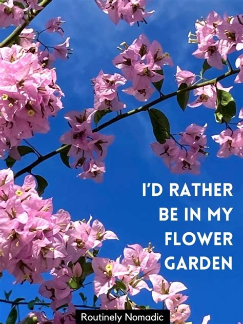 Funny Flower Quotes For Instagram | Best Flower Site