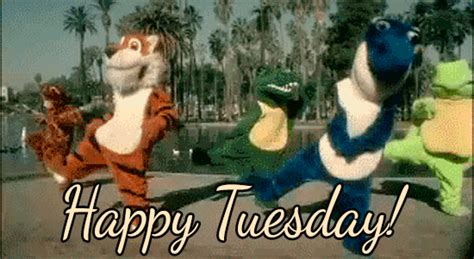 Happy Tuesday GIFs - The Best GIF Collections Are On GIFSEC