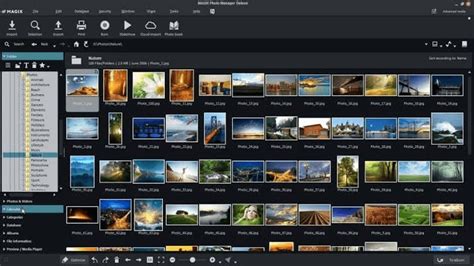 Top 7+ Picasa Alternatives To Manage Your Photos In (2021)