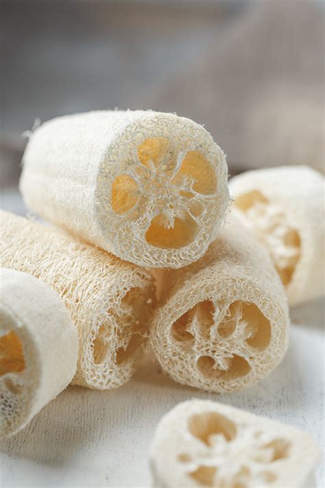 How To Grow Loofah Sponges & 9 Brilliant Ways To Use Them