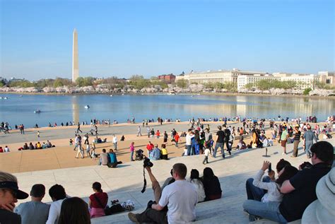 The Best Places to Photograph Cherry Blossoms in Washington, DC