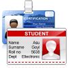 ID cards design software creates employee student identification badges