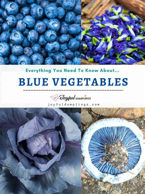 10 Blue Vegetables - Add Blue Color To Your Diet » Joyful Dumplings