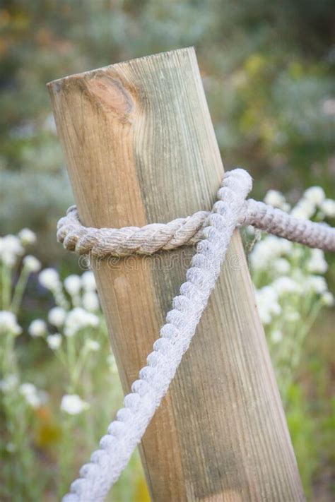 Closeup of Fence Made of Rope and Wooden Pole in Park Stock Photo ...