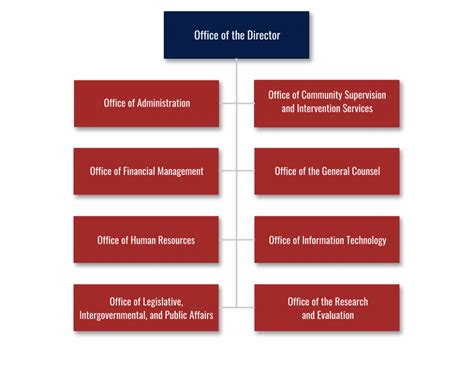 Soccent Organizational Chart