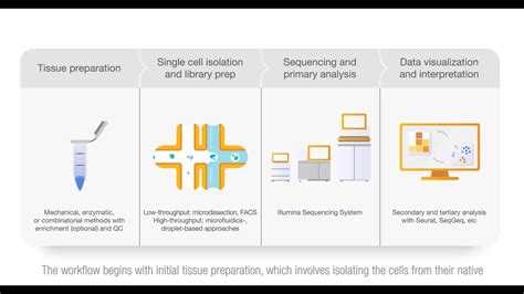 Single Cell Sequencing Analysis