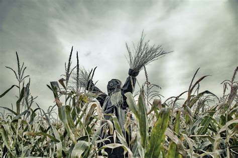 'Dark Harvest' set to premiere in October