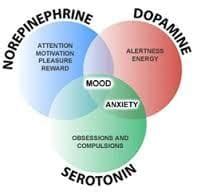 NEUROTRANSMITTER IMBALANCES AND CHRONIC DISEASES - NourishDoc