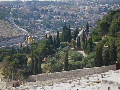 Mount of Olives « See The Holy Land