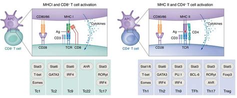 JCI - Next-generation antigen-presenting cell immune therapeutics for gliomas