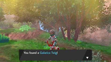 How to Find Galarica Twigs in Pokemon Sword and Shield