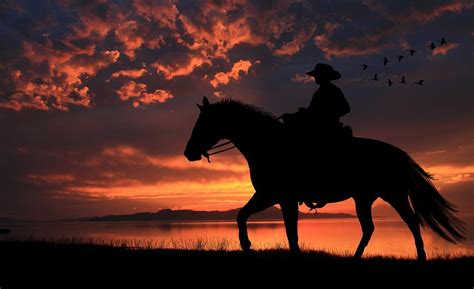 Cowboy Sunset Photograph by Gene Praag