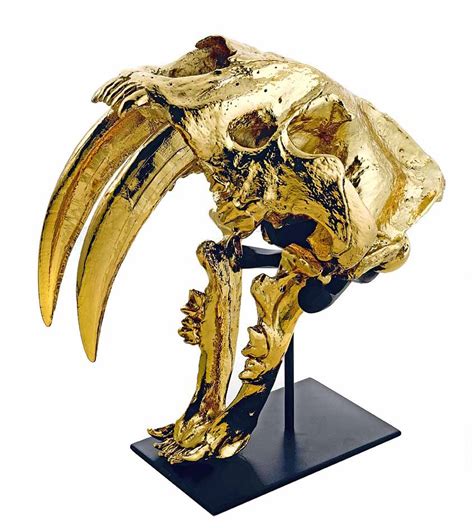 If It's Hip, It's Here (Archives): Gilding The Carnivore. Human and Animal Skulls Dipped In 24kt ...