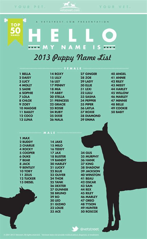 Most Popular Puppy Names 2013