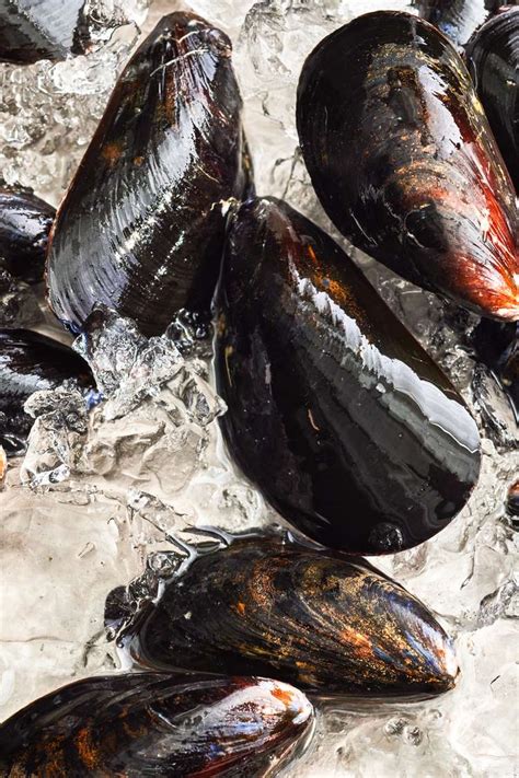 Clams vs. Mussels: What’s the Difference?