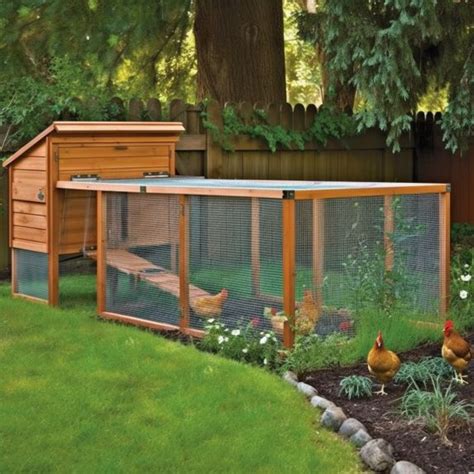 chicken coop | Chicken coop garden, Backyard chicken coop plans ...