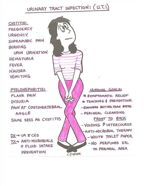 cystitis symptoms - Google Search | Nursing notes, Nurse, Nursing ...