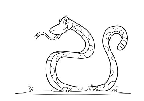 Free Printable Snake Coloring Pages For Kids