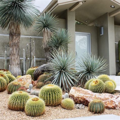 Pin di Francesco Tedesco su Giardino di piante succulente | Giardino ...