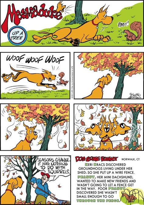 Marmaduke by Brad Anderson for November 20, 2016 | GoComics.com