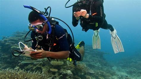 Scuba Gear for Technical Diving | PADI