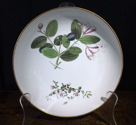 Wedgwood bone china plate, pattern 492, botanical specimens, c. 1815 | Moorabool Antiques Galleries