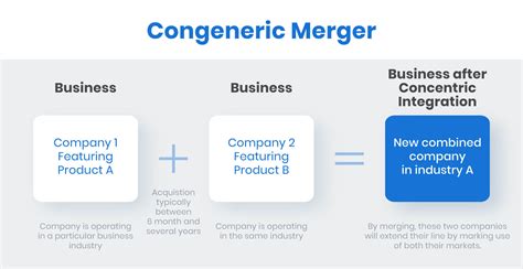 7 Types of Mergers and Acquisitions with Examples (illustrated) (2023)