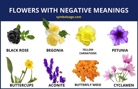 Flowers With Negative Meanings – A List - Symbol Sage