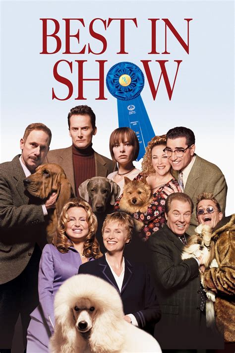 Best in Show – Vidiots