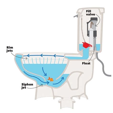 How a Toilet Works | Family Handyman