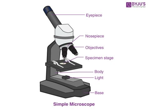 Share more than 80 simple microscope sketch best - in.eteachers