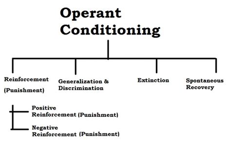 Operant Conditioning Definition and Concepts - Psychestudy