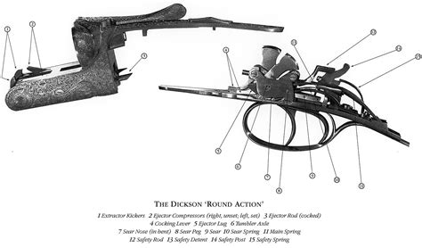 Rifle Trigger Mechanism Diagram