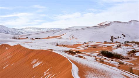 Snow falls on the usually quite hot Sahara Desert