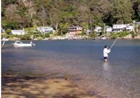 Patonga Camping Ground - Travel News - Best Tourist Places In The World