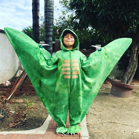 Flying dinosaur, pterodactyl costume. When your kid asks to be a pterodactyl for Halloween 😜 He ...