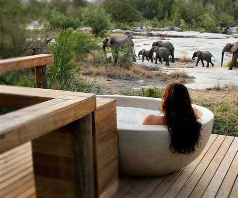 Top 5 ultra-luxurious safari lodges in South Africa - A Luxury Travel Blog