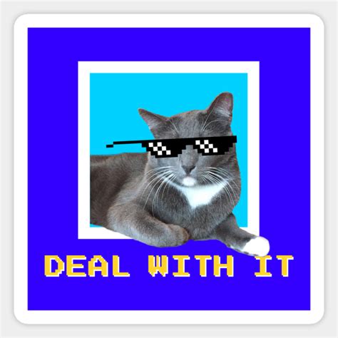 Deal With It! Sunglass Cat Meme - Deal With It Sunglasses - Magnet | TeePublic