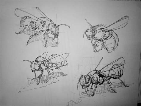 Lesson 4 insects: 3 drawing through forms 1 "detailed" | Scrolller