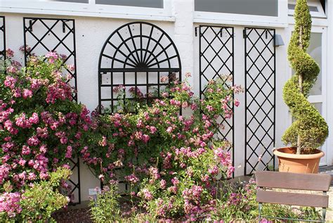 De Rigueur Trellis ~ wrought-iron Wall Trellises ~ Classic Garden Elements