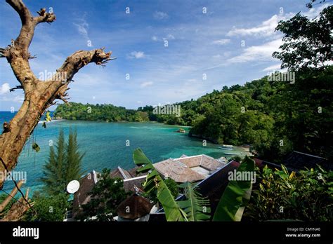 Jamaica Port Antonio Tropical landscape near Blue lagoon Stock Photo ...