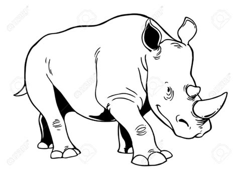 white rhino clipart 10 free Cliparts | Download images on Clipground 2024