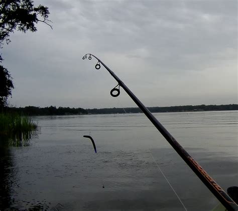 Wacky Rig Drop Shot - Tech Guy Fishing