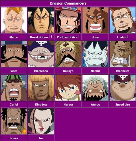 All 16 Whitebeard Pirates Commanders - One Piece