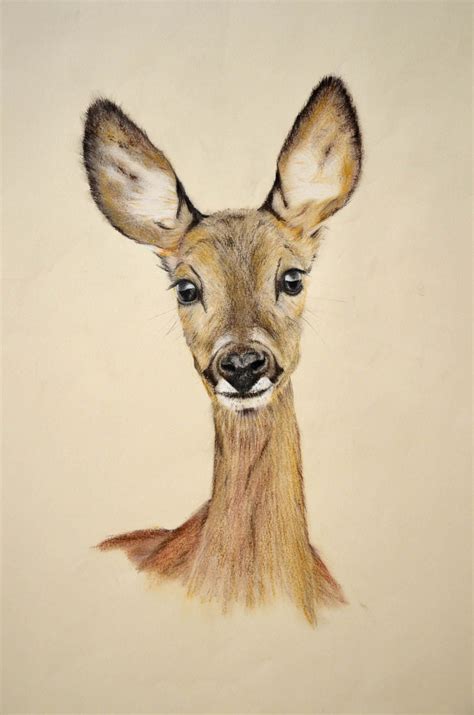 Roe deer siluets, graphic, tatoo ... von Lee Libka | Hirsch illustration, Tiere malen, Insektenkunst