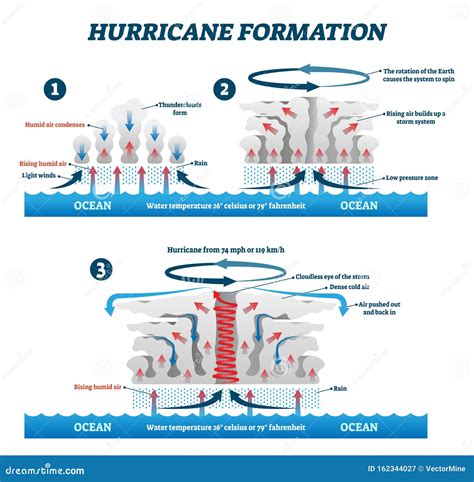 Hurricane Formation Labeled Vector Illustration. Educational Wind Storm ...