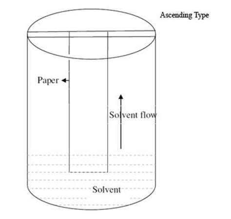 What Is Paper Chromatography: Principle, Types, & Uses | Owlcation