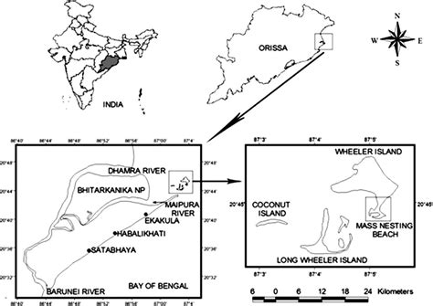 Location of Gahirmatha Marine Wildlife Sanctuary and turtle nesting... | Download Scientific Diagram